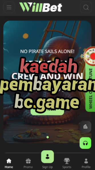 Kaedah Pembayaran BC.game - Payment Methods-vz72fvrf.com
