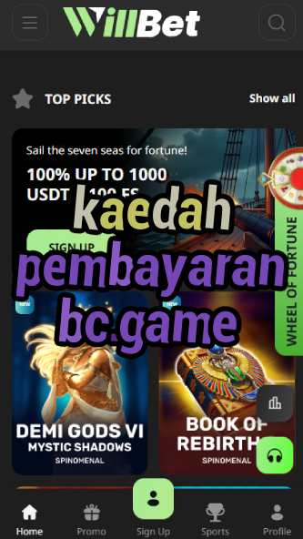 Kaedah Pembayaran BC.game - Payment Methods-vz72fvrf.com