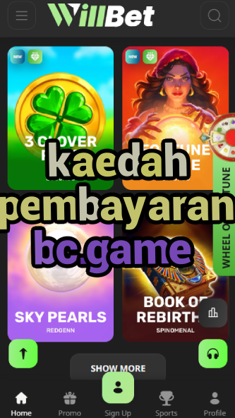 Kaedah Pembayaran BC.game - Payment Methods-vz72fvrf.com